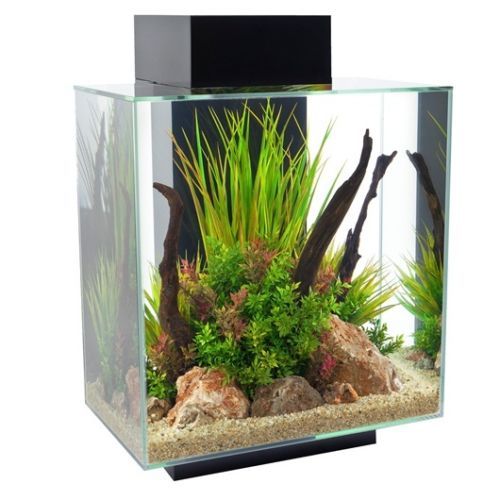ADA Cube Garden 30C 26 Litre (30x30x30cm) | eBay UK