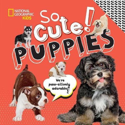 Crispin Boyer So Cute! Puppies (Hardback) Cool/Cute