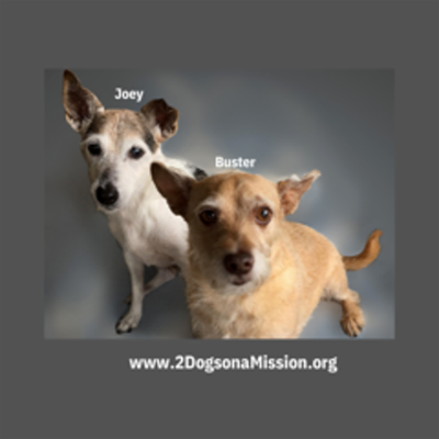 2 DOGS ON A MISSION, INC.