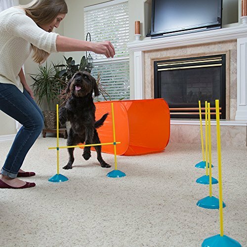 Dog Agility Starter Kit Obstacle Course Training Equipment Tunnel Weave Poles