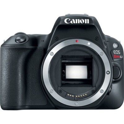 (Open Box) Canon EOS Rebel SL2 24.2 MP Digital SLR Camera - Black (Body Only) #5