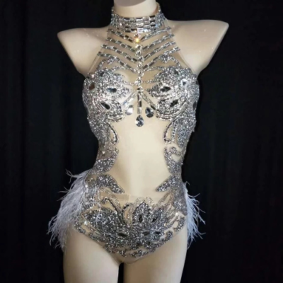 Sparkly Silver Crystals Mesh Bodysuit Women Feather Leotard Outfit Party  Costume