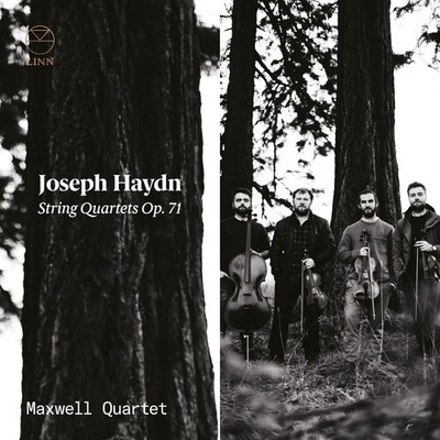 Haydn / Maxwell Quartet - Strings Quartets 71 [New CD]