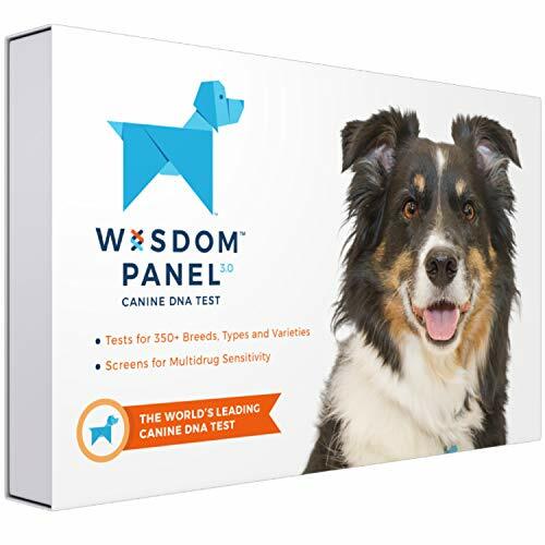 Wisdom Panel 3.0 Breed Identification Dog DNA ...