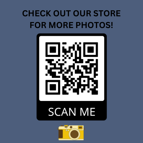 USS LEXINGTON (CV-16) AIRCRAFT CARRIER DOCKED AT NAVAL STATION 5X7 PHOTO