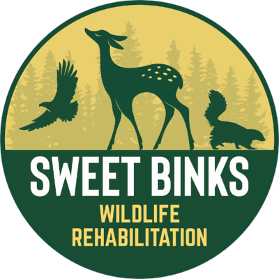 Sweet Binks Rescue, Inc.