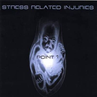 Stress Related Injuries - Audio CD By Point 1 - VERY GOOD