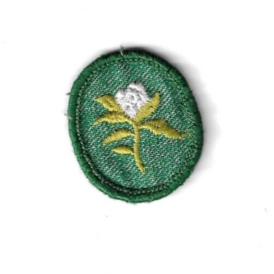 Girl Scout Mountain Laurel Badge (??1955??)