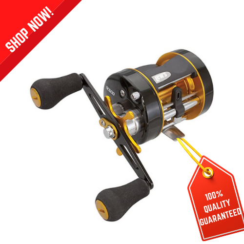 Premium Speed Cast  5.3:1 Right Hand Casting ar Outdoor