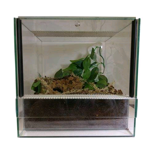 TSS GLASS TERRARIUM VIVARIUM FOR TARANTULAS AND INSECTS in Antrim