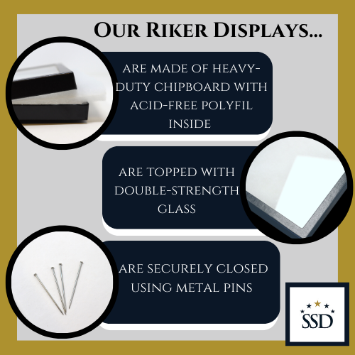 12 x 16 x 3/4 Riker Display Case Box  for Collectibles Jewelry Arrowheads & More