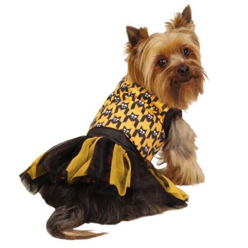 XXS Dog Costumes