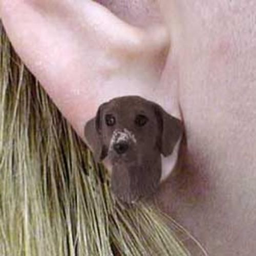 Post Style GERMAN SHORTHAIR Resin Dog Post Earrings Jewelry...Clearance Priced