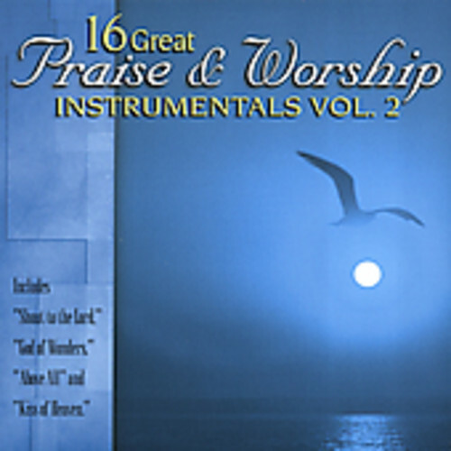 16 Great Praise and Worship Instrumentals, Vol. 2 by Various (CD, 2005 ...