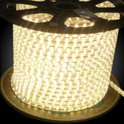 50 100 150 ft 110V LED Light Rope String Outdoor Tree Garden Fairy Lighting 