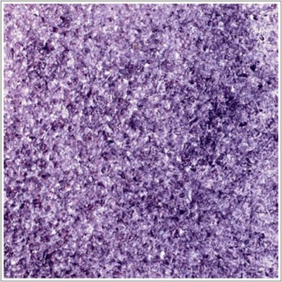 System 96 Med. Frit COE Glass - LIGHT PURPLE 0142 Jar