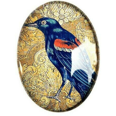 Red Winged Blackbird Illustration Cameo Cabochon Vintage Art Glass Black Bird 