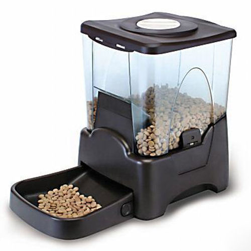 Dog Automatic Feeders
