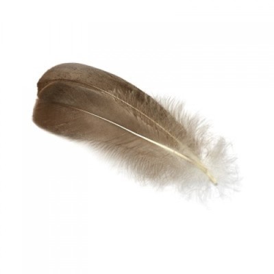 Grey Goose Herl, Fly Tying Feathers, Fly Tying, Goose Feathers, Quills