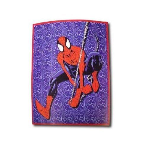 Cartoons & Characters Blankets and Throws