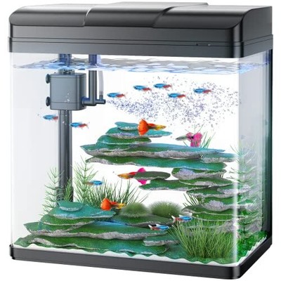 5 Gallon Fish Tank, Glass Aquarium with Air Pump, LED Cool L