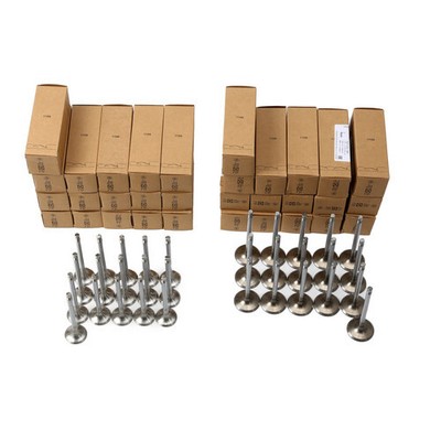 32x Intake & Exhaust Valves Set Fit For Audi A6 C7 A8 D4 A5 Q7 R8 VW Toureg 4.2L