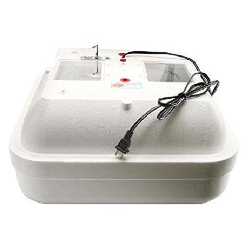 Best Egg Incubator Thermal Heated Air Flow Hatching Hatch Poultry Ducks Reptiles