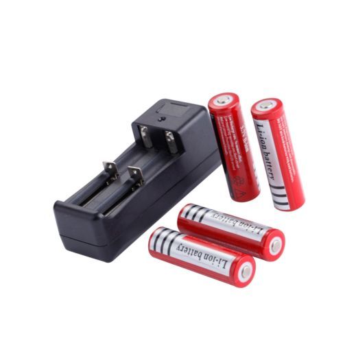 Li-Ion Battery with Charger Multipurpose Batteries and Power