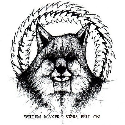 Stars Fell On [Digipak] by Maker Willem [Audio CD]