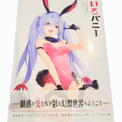 IRO BUNNY GRAPHICTION BOOKS Art Works Illustration Collection Japan AIR