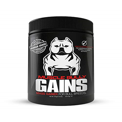 Pitbull mass gainer cheap