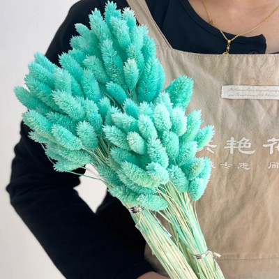 20-60pcs Bunny Tail Natural Plants Colored Grass Boho Wedding Decor Flower