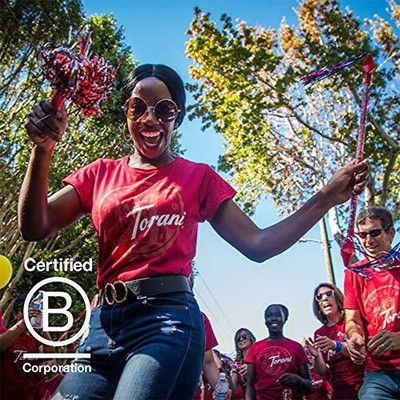 Torani Sugar Free Classic Hazelnut Syrup, 12.7 oz