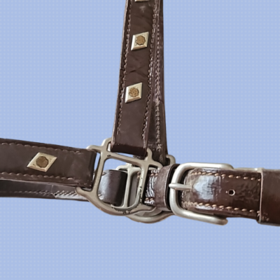 Vintage Billy Royal North and Judd Buckles Show Halter Horse Size