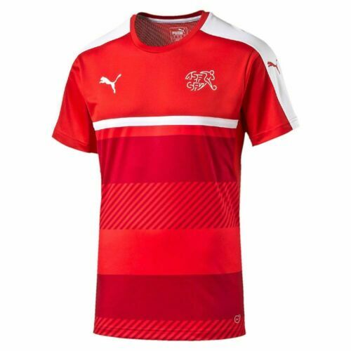 PUMA Men Training Kit Football Shirts (National Teams)