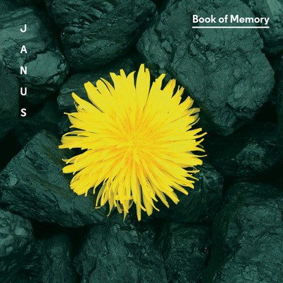 Lansky / Treuting / Janus / Wadden / Meyers - Book of Memory [New CD]