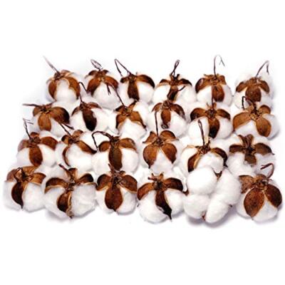 Real Cotton Balls Decor 24 Pieces For Wreath Decor Cotton Bolls Balls Natural Co