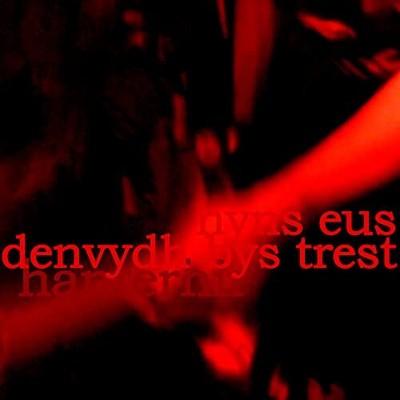 Hanterhir There Is No One To Trust (Nyns Eus Denvydth Bys Trest) [plus Cd] LP