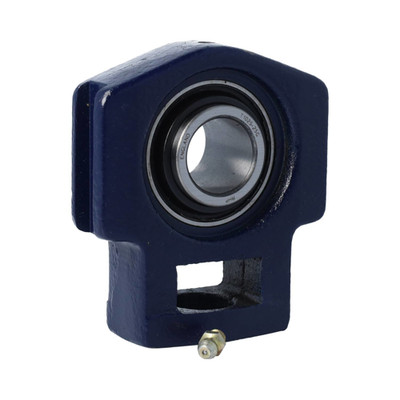 TST25 RHP 25 x 100 x 34,1 mm HOUSING/BEARING ASSY