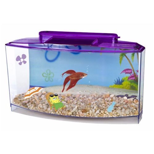 Turtle Aquarium PENN-PLAX Reptology Turtle Topper - Above Tank Basking ...