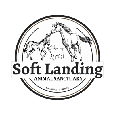 Soft Landing Animal Sanctuary