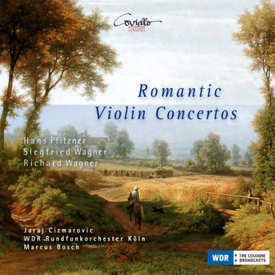 Pfitzner - VLN Konzerte Der Romantik [New CD]