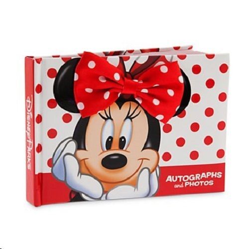 Disney Parks Magic Kingdom Wishes by Larry Dotson 8 By 10 Matted