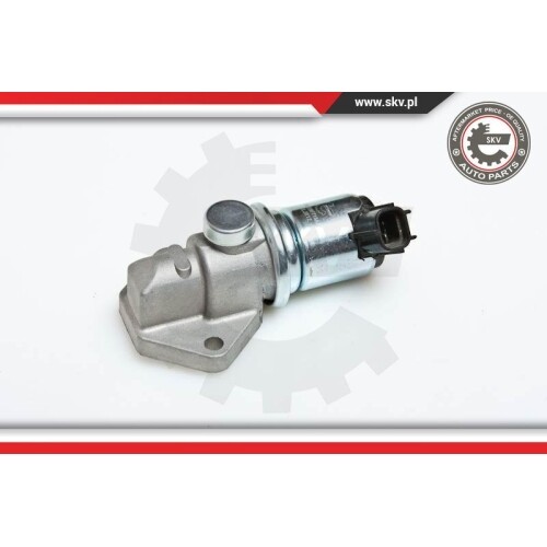 Esen Skv ContrÃ´Le De Ralenti, Alimentation En Air Pour Ford Hitachi