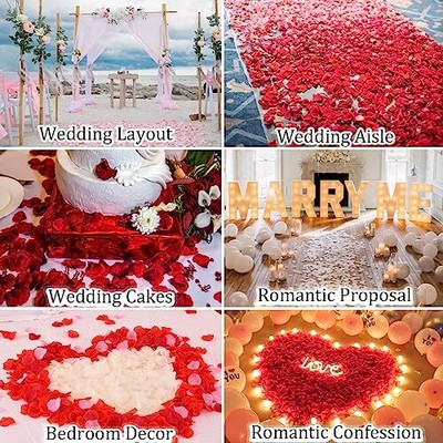 1000pcs Black Rose Petals for Romantic Nights Artificial Roses Flower Petals ...