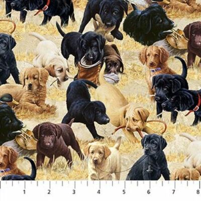 Puppies For Sale By Northcott -  Multi Allover Pups  #DP24253-12