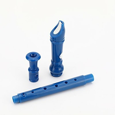 8 Bees Descant Soprano Recorder 8 Hole with Cleaning RodBasic Musical Instrument