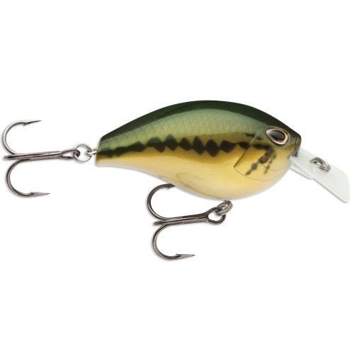 Storm Fishing Baits & Lures