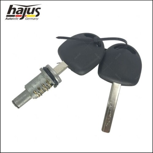 Cylindre De Serrure Compatibilite Avec Opel 8571009