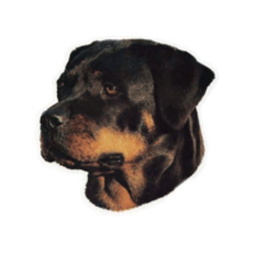 Hunde-Autoaufkleber Rottweiler